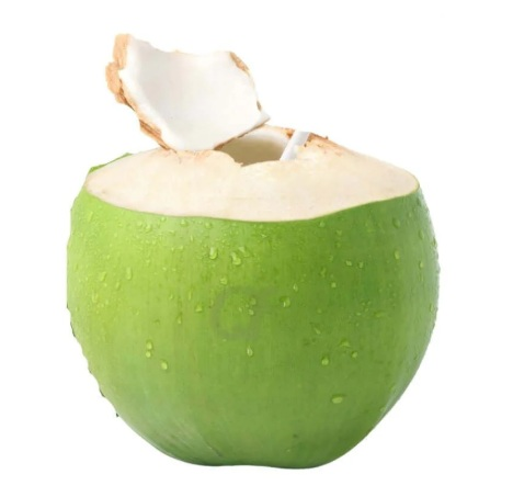Coconut - Green