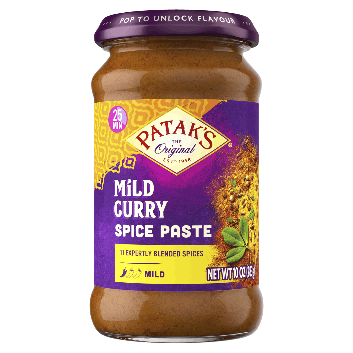 PATAKS CURRY PASTE MILD